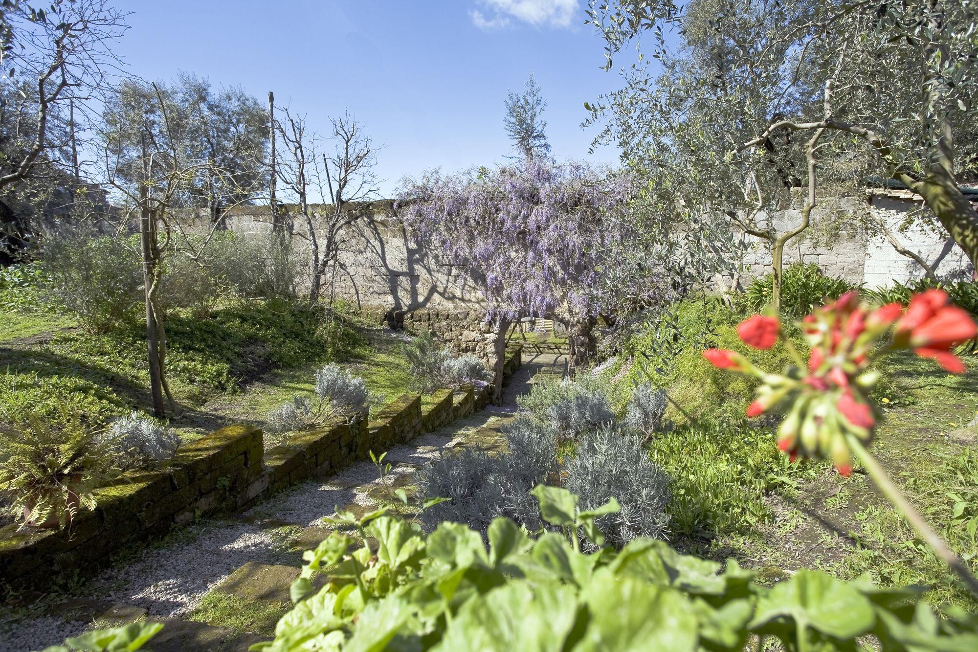 Chalet Lidia Σορέντο Εξωτερικό φωτογραφία