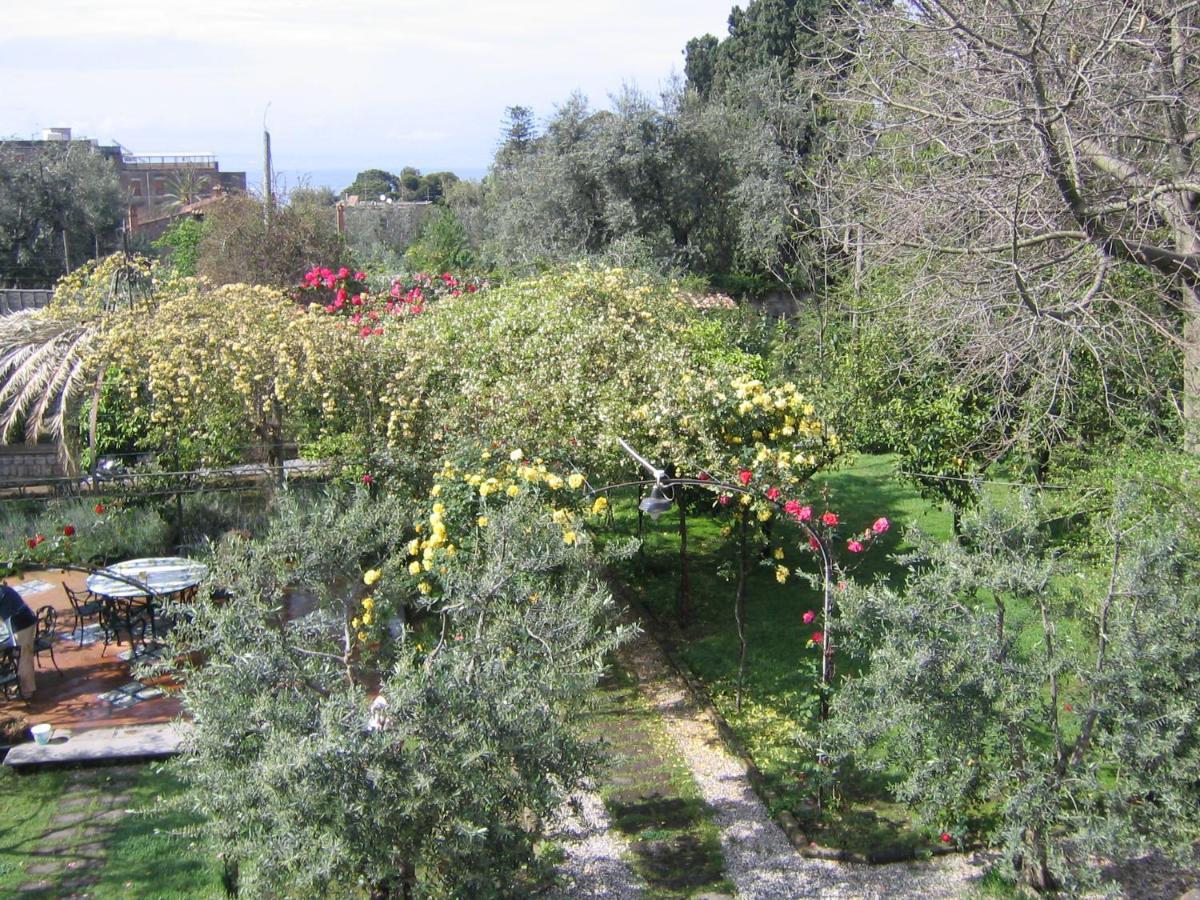 Chalet Lidia Σορέντο Εξωτερικό φωτογραφία