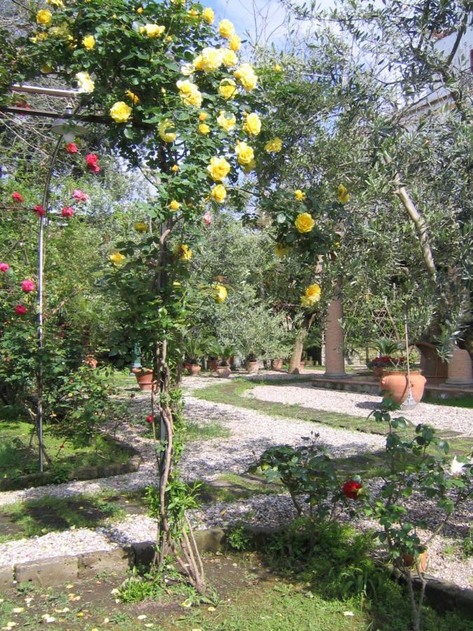 Chalet Lidia Σορέντο Εξωτερικό φωτογραφία