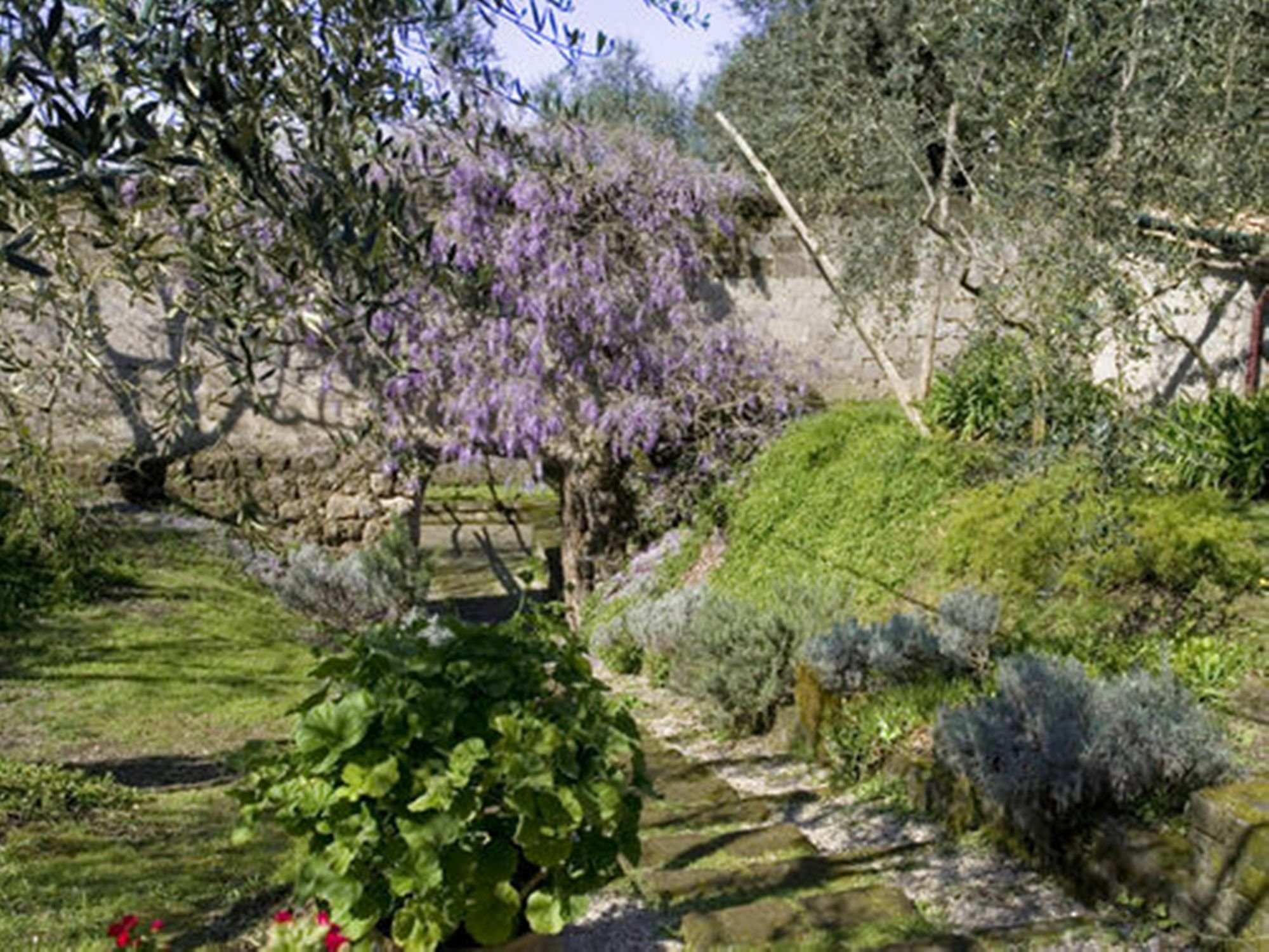 Chalet Lidia Σορέντο Εξωτερικό φωτογραφία