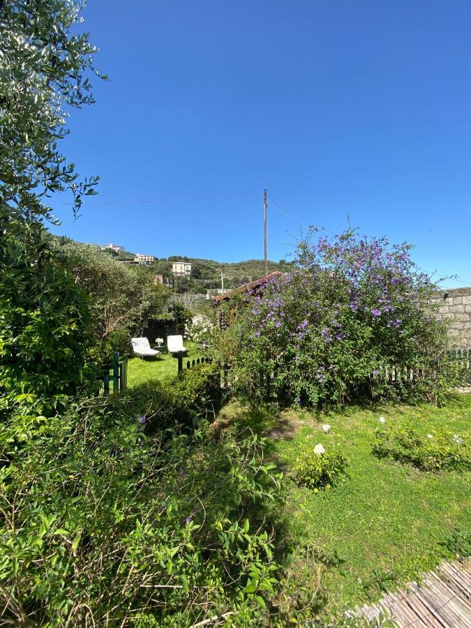 Chalet Lidia Σορέντο Εξωτερικό φωτογραφία